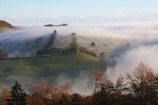 Nebelschwaden über Froburg - Copyright © by 