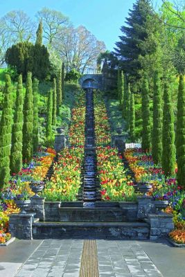 Italienische Blumen-Wassertreppe - Copyright © by Mainau GmbH