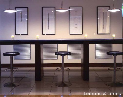 Lemons & Limes - Copyright © by 