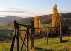 Baselland Tourismus