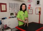 Hunde- und Katzenpflegesalon Netti