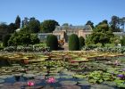 Seerosenteich im Zoologisch-Botanischen Garten Wilhelma