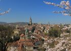 Blick über die Altstadt