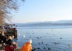 Entspannung und Freizeit am Zürichsee-Ufer