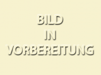 Ulmer Mode GmbH & Co.KG
